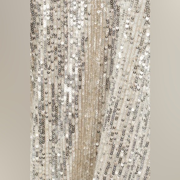 H&M | NWOT L/XL SEQUINED TOP WITH HIGH MOCK COLLAR LONG SLEEVED SHEER BLOUSE - Picture 2 of 8